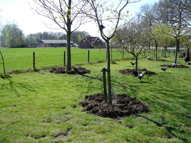Potstalmest 2010