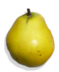 Kweeperen