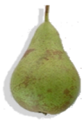 Peren