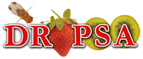 Dropsa